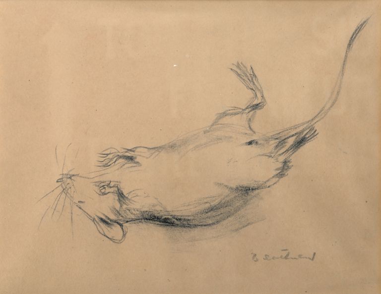 Dead Mouse (courtesy of NBM Collection)